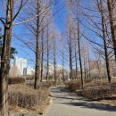 영등포좋은나무 이미지