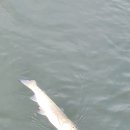 겨울이 오면 또하나의 즐길거리 이미지