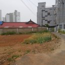 참사랑미용실
