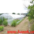 광판보건진료소 이미지