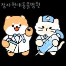 정자현대동물병원 이미지