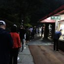 파리게이츠고양 이미지