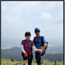 법원길 삼거리 앞 이미지