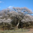 우이천로 이미지