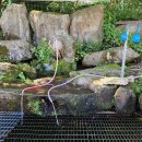 해안면사무소 이미지