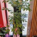 새동의 약국 이미지