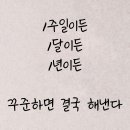 바이오소프트 이미지