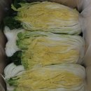 상신농장 이미지