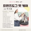 도그 프렌즈 이미지