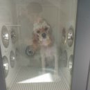 미용해·독 이미지