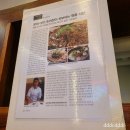 보성정육식당 이미지