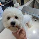 수레실길 이미지