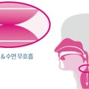 숨바로이비인후과의원 이미지