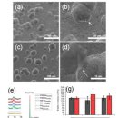 옥사이드 이미지
