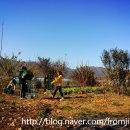 지리산고등학교 | 산청곶감 만드는 지리산웃음꽃농장, 지리산고등학교 아이들의 봉사활동