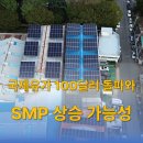 유가 태양광 Daum카페