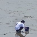 서천하늘아래펜션 이미지