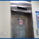 목련로273번길 이미지