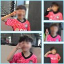 창동백호태권도장 이미지