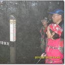 고칫재민박 네이버블로그