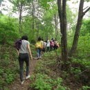 춘양중학교 이미지