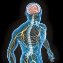 새로운신경과의원 이미지