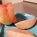 은이농장 이미지