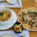 강아지정원 이미지