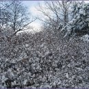 호압사 화장실 이미지