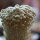 소래버섯나라 이미지