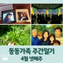 동동가족 주간일기 4월 넷째주 / 합창단 워크샵 / 클림트 마티스 미디어아트 / 홍성 아빠집 / 강화도...