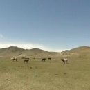 시우목장 이미지