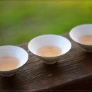 편안한몸한의원 이미지