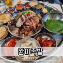장기 | 김포 라베니체 맛집 완미족발 장기점 내돈내산 후기