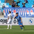 울산대파 이미지