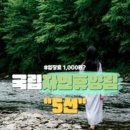 인제주여행사 이미지