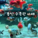 매직월드게임장 이미지