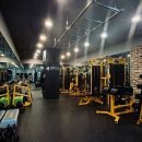 오늘의 피티(PT) 이미지