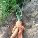 서리내농장 이미지