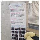 진앤모 | 살다살다 원형탈모로 병원을 갈 줄은 몰랐다