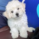 공방스테이 이미지