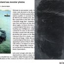 1960년대 호주 쿡 아일랜드에서 촬영된 `바다 괴물` 이미지