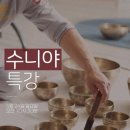 수니사운드