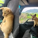 내집앞슈퍼 이미지