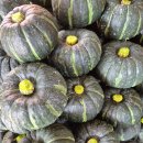 신양로(풍산읍) 이미지