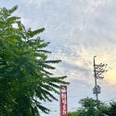 서둔동 292 | 수원역 맛집) 팔딱오리 방문후기