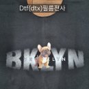 신흥패션