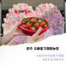 길정해농장 이미지