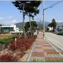 백암 2교 이미지