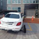 365카모터스 이미지